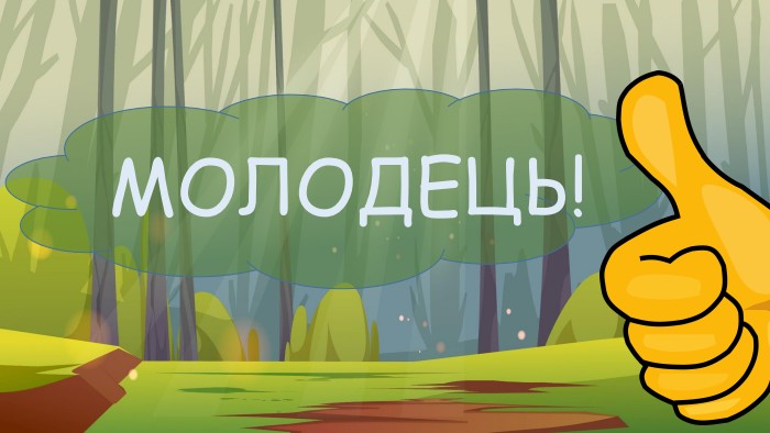 МОЛОДЕЦЬ!
