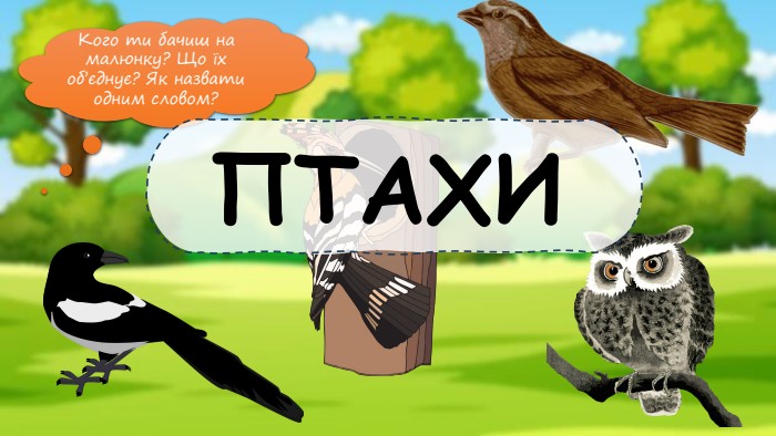 Кого ти бачиш на малюнку? Що їх об’єднує? Як назвати одним словом?ПТАХИ