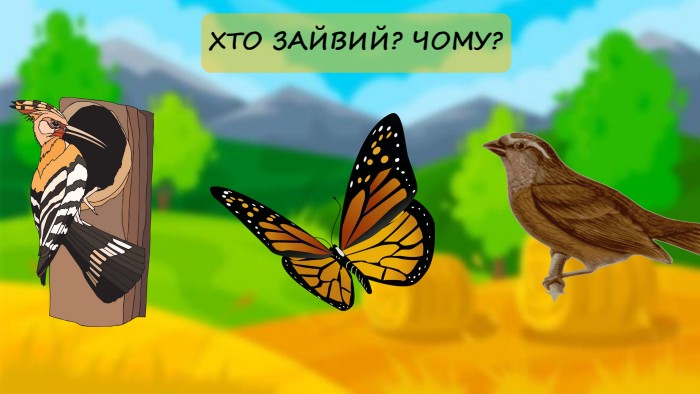 ХТО ЗАЙВИЙ? ЧОМУ?