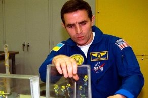 Картинки по запросу перший укр космонавт