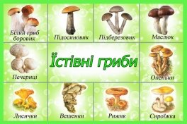 Картинки по запросу гриби для дітей