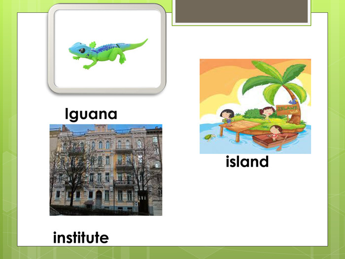 Iguana islandinstitute