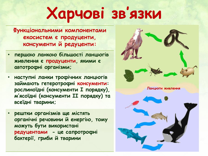 Презентація з біології для учнів 9 класу "Екосистеми та їх функціонування"
