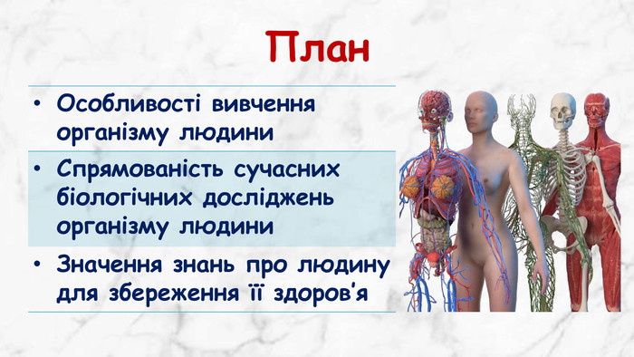 Анатомія людини: коли починають вивчати