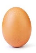 Картинки по запросу курячі яйця