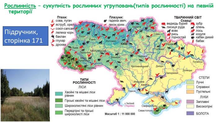 Рослинність – сукупність рослинних угруповань(типів рослинності) на певній території Підручник, сторінка 171 