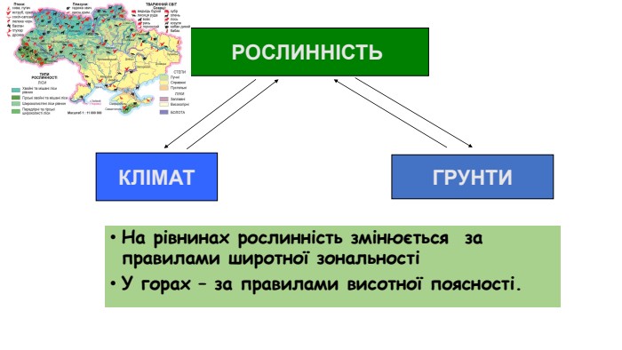 РОСЛИННІСТЬ КЛІМАТ ГРУНТИ На рівнинах рослинність змінюється  за правилами широтної зональності У горах – за правилами висотної поясності. 