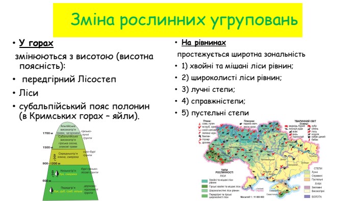     Зміна рослинних угруповань У горах  змінюються з висотою (висотна поясність):   передгірний Лісостеп   Ліси субальпійський пояс полонин (в Кримських горах – яйли). На рівнинах   простежується широтна зональність 1) хвойні та мішані ліси рівнин; 2) широколисті ліси рівнин; 3) лучні степи; 4) справжністепи; 5) пустельні степи 