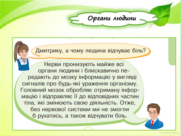  Органи людини