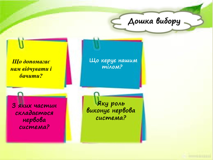 Дошка вибору. Що допомагає нам відчувати і бачити? Яку роль виконує нервова система? Що керує нашим тілом?З яких частин складається нервова система?