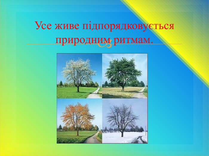  Усе живе підпорядковується природним ритмам.