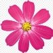 https://img2.freepng.ru/20180329/soq/kisspng-pink-flowers-clip-art-purple-flowers-5abd48138f9274.1495086115223541955881.jpg