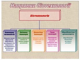 http://shkola.ostriv.in.ua/images/publications/4/11661/content/6.JPG