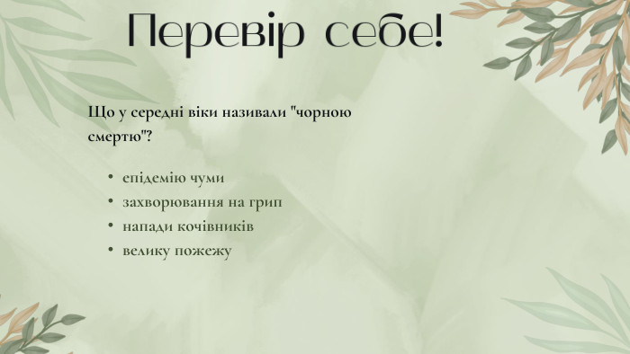 Перевір себе!Що у середні віки називали 