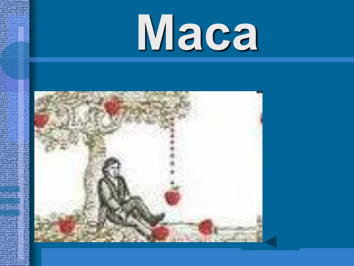            Маса   