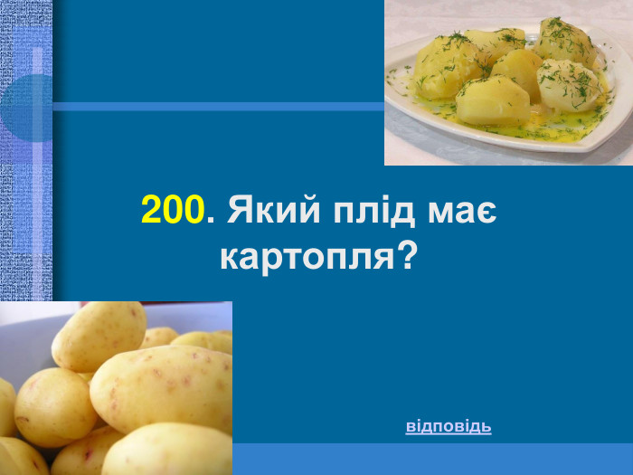 200. Який плід має картопля? відповідь 