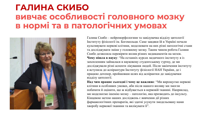 ГАЛИНА СКИБОвивчає особливості головного мозку в нормі та в патологічних умовах. Галина Скибо – нейроморфологиня та завідувачка відділу цитології Інституту фізіології ім. Богомольця. Саме завдяки їй в Україні почали культивувати нервові клітини, моделювати на них різні патологічні стани та досліджувати зміни у головному мозку. Таким чином робота Галини Скибо дозволила перевіряти вплив різних медикаментів на мозок. Чому пішла в науку: “На останніх курсах медичного інституту я із захопленням займалася в науковому студентському гуртку, де ми досліджували різні аспекти лікування людей. Після закінчення інституту я вступила до аспірантури Інституту фізіології НАН України, де і працюю дотепер, пройшовши шлях від аспірантки до завідувачки відділу цитології. Над чим працює сьогодні і чому це важливо: “Ми вирощуємо нервові клітини в особливих умовах, аби після нашого впливу ми змогли побачити й оцінити, що ж відбувається в нервовій тканині. Наприклад, ми моделюємо ішемію мозку – патологію, яка призводить до інсульту. Кінцевою метою наших досліджень є вивчення дії різних фармакологічних препаратів, які здатні усунути змодельовану нами хворобу нервової тканини та вилікувати її”.