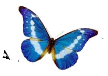 http://graphics.in.ua/cat/PSD.Butterflies.Cliparts.2.14.Layers.3425x2283.jpg
