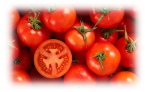 Цікаві факти про помідори