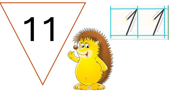  11