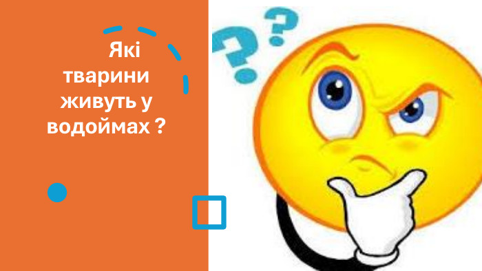  Які тварини живуть у водоймах ? 