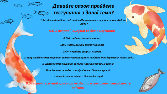 Який зовнішній вигляд очей свідчить про високу якість та свіжість риби?A. Очі яскраві, випуклі та без помутніння. B. Очі глибоко запалі в очниціC. Очі мають легкий сіруватий наліт. D. Очі повністю закриті льодом. Давайте разом пройдемо тестування з даної теми?Чому швидке заморожування вважається кращим за повільне для збереження якості риби?A. Швидке заморожування видаляє надлишкову сіль з тканин. B. Це допомагає змінити колір м'яса на більш яскравий. C. Воно дозволяє вбивати більше бактерій. D. Утворюються малі кристали льоду, що мінімально пошкоджують клітини.