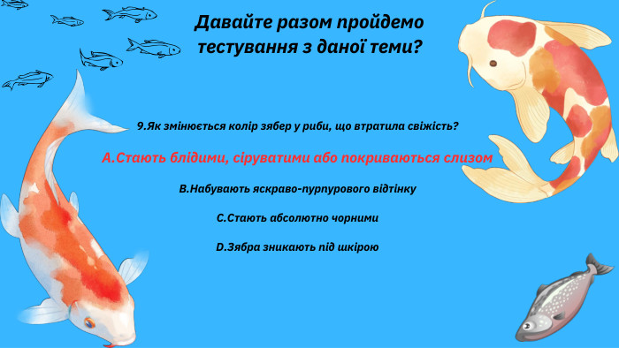 Давайте разом пройдемо тестування з даної теми?9. Як змінюється колір зябер у риби, що втратила свіжість?A. Стають блідими, сіруватими або покриваються слизом. B. Набувають яскраво-пурпурового відтінку C. Стають абсолютно чорними. D. Зябра зникають під шкірою