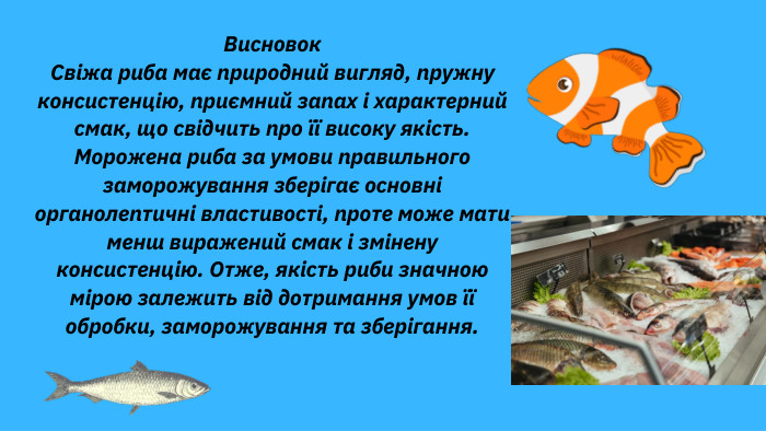 Висновок. Свіжа риба має природний вигляд, пружну консистенцію, приємний запах і характерний смак, що свідчить про її високу якість. Морожена риба за умови правильного заморожування зберігає основні органолептичні властивості, проте може мати менш виражений смак і змінену консистенцію. Отже, якість риби значною мірою залежить від дотримання умов її обробки, заморожування та зберігання.
