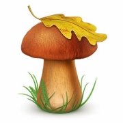 Картинки по запросу картинка гриб для детей
