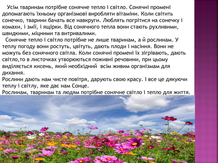  Усім тваринам потрібне сонячне тепло і світло. Сонячні промені допомагають їхньому організмові виробляти вітаміни. Коли світить сонечко, тварини бачать все навкруги. Люблять погрітися на сонечку і комахи, і змії, і ящірки. Від сонячного тепла вони стають рухливими, швидкими, міцними та витривалими. Сонячне тепло і світло потрібне не лише тваринам, а й рослинам. У теплу погоду вони ростуть, цвітуть, дають плоди і насіння. Вони не можуть без сонячного світла. Коли сонячні промені їх зігрівають, дають світло,то в листочках утворюються поживні речовини, при цьому виділяється кисень, який необхідний всім живим організмам для дихання. Рослини дають нам чисте повітря, дарують свою красу. І все це дякуючи теплу і світлу, яке дає нам Сонце. Рослинам, тваринам та людям потрібне сонячне світло і тепло для життя. 