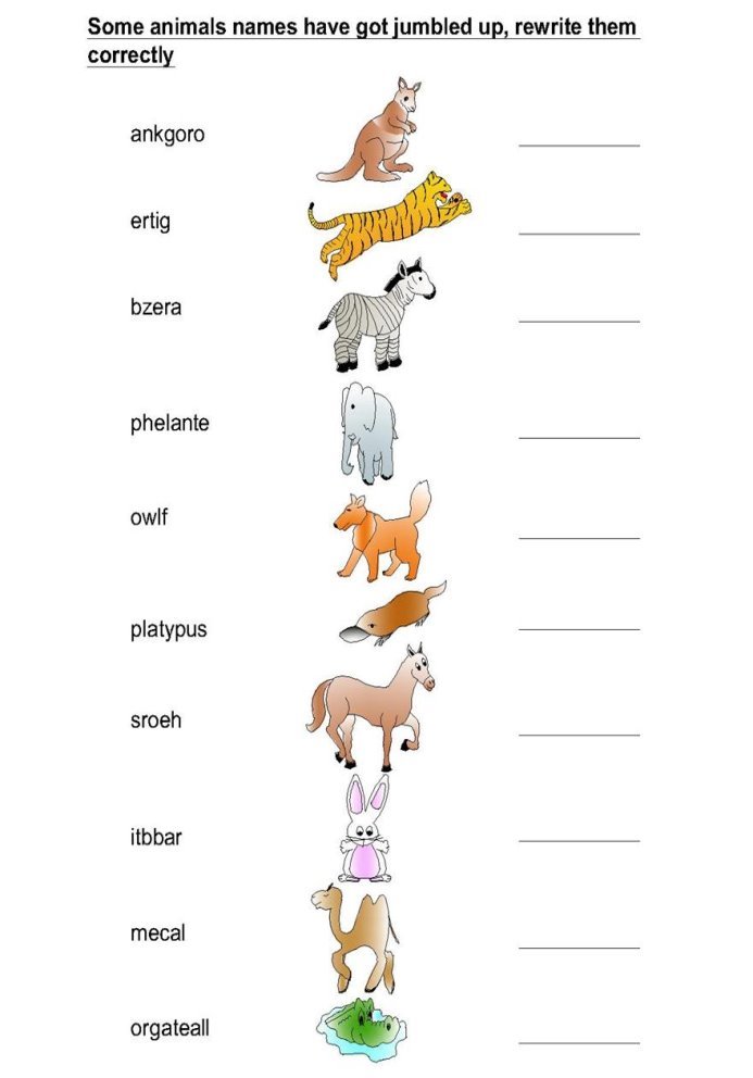domestic animals worksheet