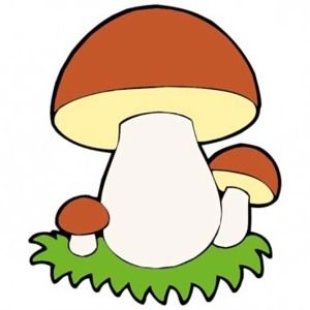 Картинки по запросу грибы  рисунок