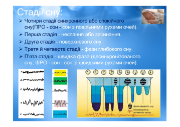 C:\Users\Sergey\Desktop\СОН.png\Microsoft PowerPoint - СОН.pptx [только чтение].pdf_page_08.png