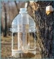 Кормушка для птиц: идеи как сделать своими руками из подручных средств |  Bird feeders, Diy bird feeder, Plastic bottle crafts