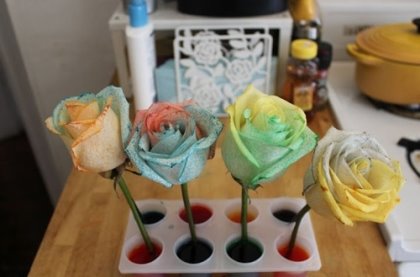 Радужные розы, как сделать радужные розы, инструкция по созданию радужных роз в домашних условиях