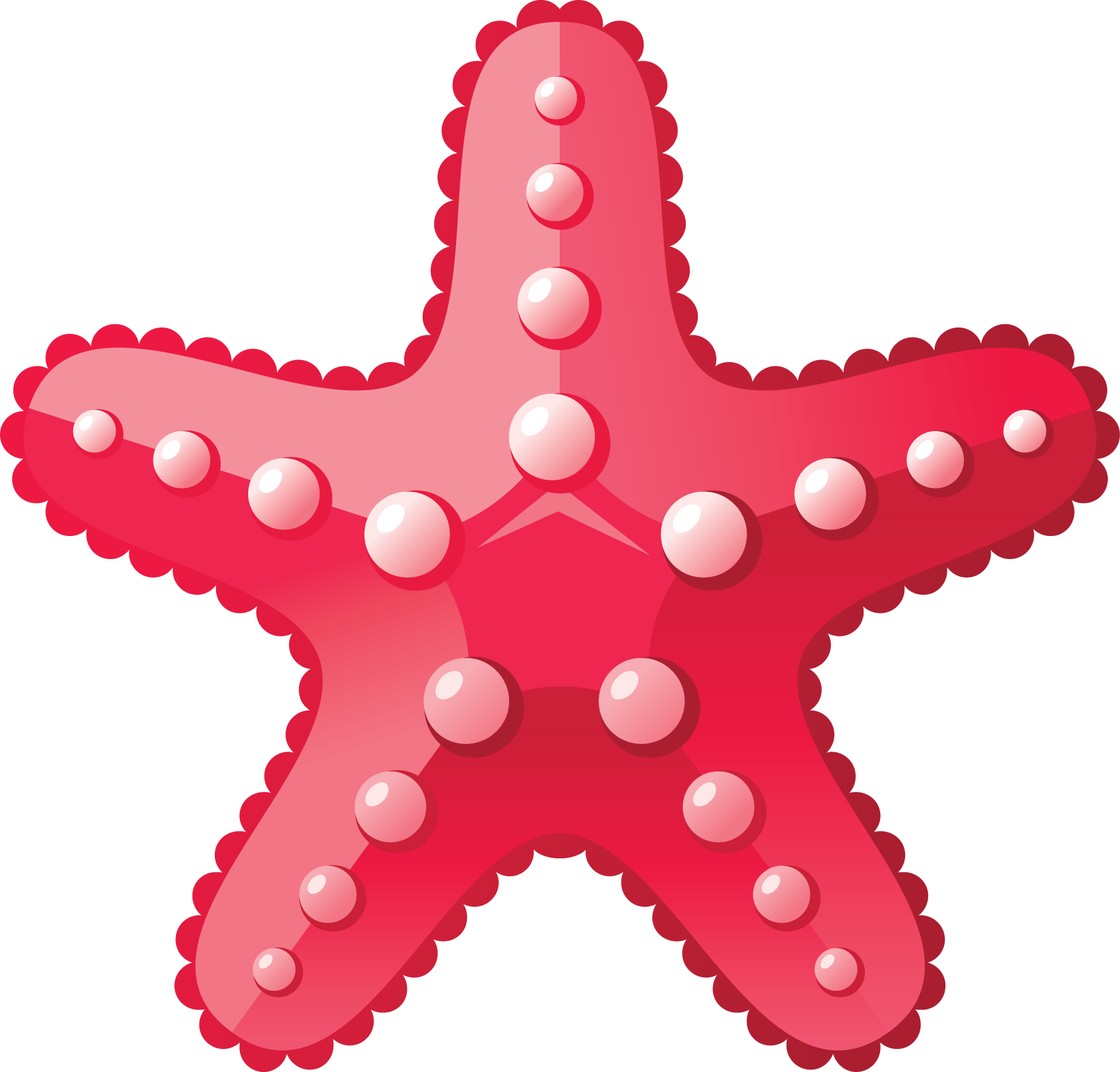 starfish_PNG35.png