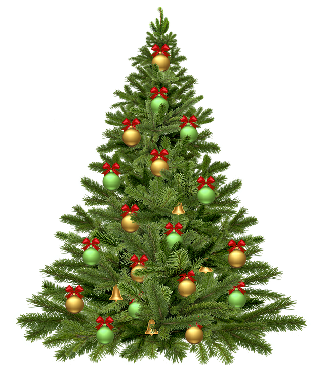 christmas-tree-1808558_960_720.png