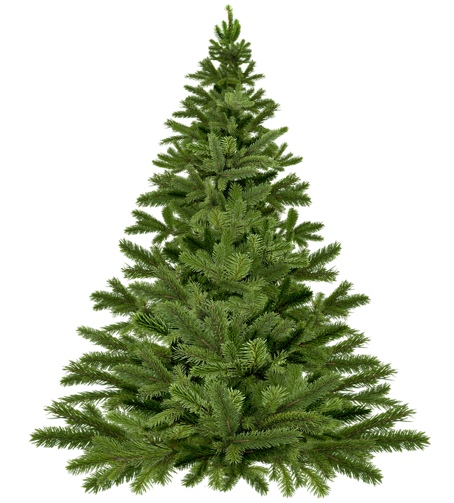 christmas-tree-christmas-1796131_960_720.png