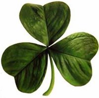 http://www.englishexercises.org/makeagame/my_documents/my_pictures/2009/dec/D6C_image-of-shamrock.jpg