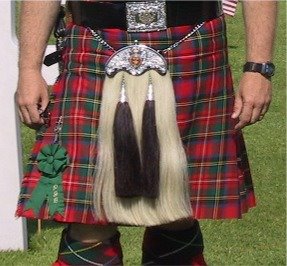 http://www.englishexercises.org/makeagame/my_documents/my_pictures/2009/dec/3D3_kilt.jpg