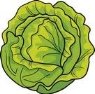 Описание: lettuce.jpg