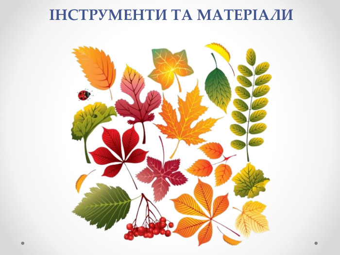 ІНСТРУМЕНТИ ТА МАТЕРІАЛИ