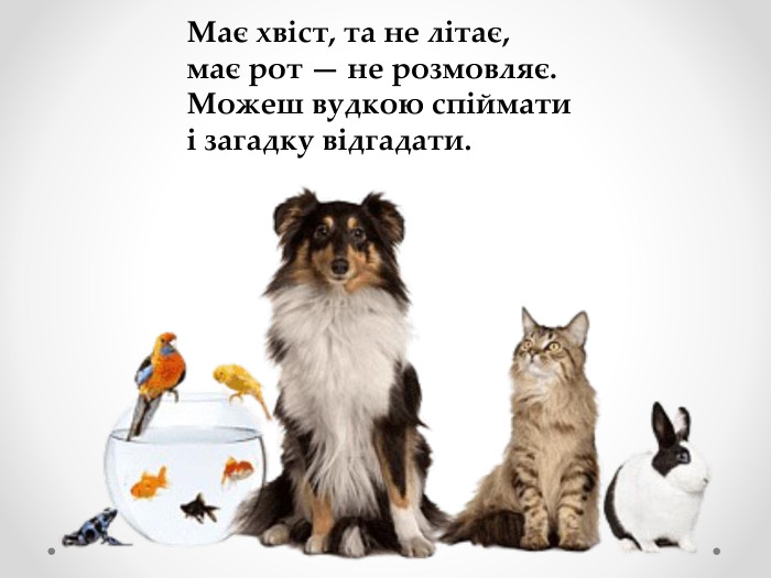 Має хвіст, та не літає,має рот — не розмовляє. Можеш вудкою спійматиі загадку відгадати.
