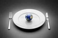 http://grist.files.wordpress.com/2011/05/world-earth-hunger-feeding-plate-425.jpg