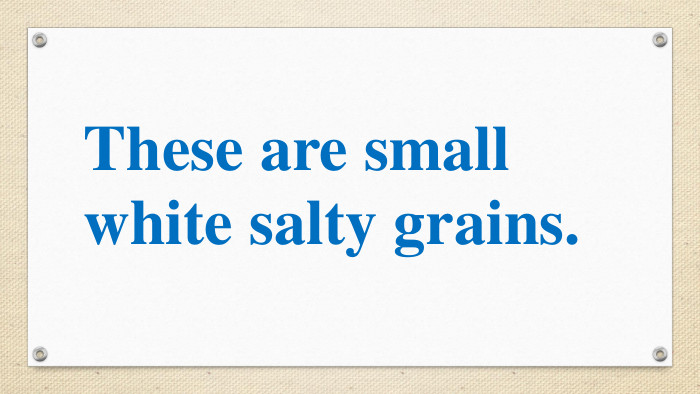 These are small white salty grains.  