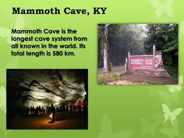 Mammoth Cave, KYMammoth Cave is the longest cave system from all known in the world. Its total length is 580 km.