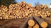 Мітка: деревина – LegalHub.online