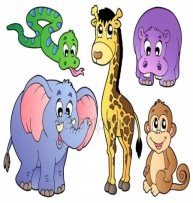 https://static6.depositphotos.com/1005091/542/v/450/depositphotos_5424013-stock-illustration-set-of-cute-african-animals.jpg