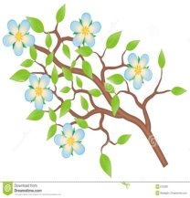 https://thumbs.dreamstime.com/z/branch-flowers-6722891.jpg