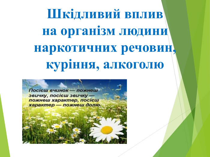 Шкідливий вплив на організм людини наркотичних речовин, куріння, алкоголю